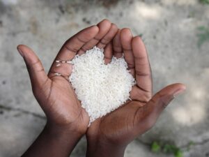 Read more about the article The Power of Thoughts: Rice Positivity Experiment